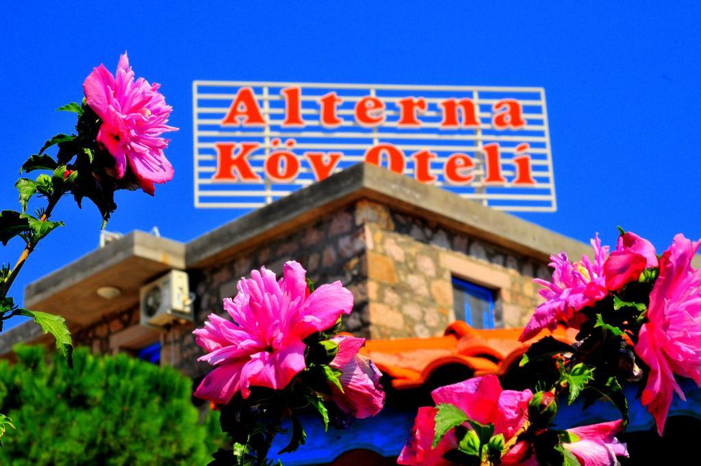 Alterna Koey Evi Guest House Ayvacik Luaran gambar