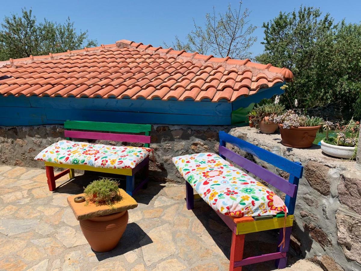 Alterna Koey Evi Guest House Ayvacik Luaran gambar